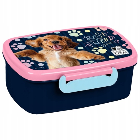 Śniadaniówka pudełko na kanapki Piesek pies Spaniel Cleo&Frank 44