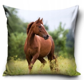 Poszewka dekoracyjna koń konik konie mustang 40X40