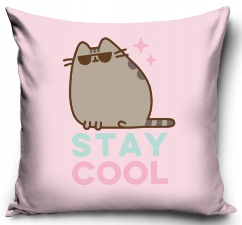 Poszewka na poduszkę jasiek kotek PUSHEEN 40x40