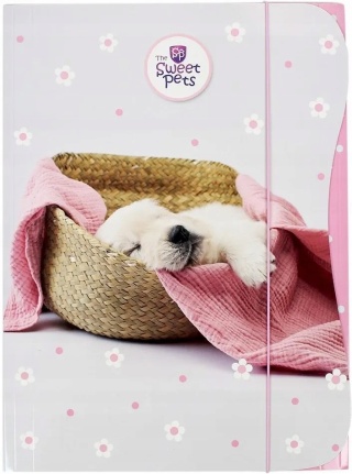 Teczka z gumką A4 na dokumenty rysunki pies piesek