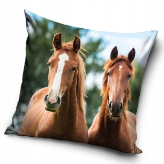 KOŃ KONIK konie poszewka na poduszkę jasiek 40x40 welurowa VELVET