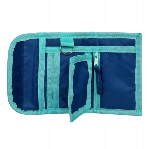 Portfel portfelik KRAINA LODU FROZEN II