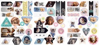 Naklejki transparentne do dekorowania laptopa telefonu pamiętnika KOT PIES