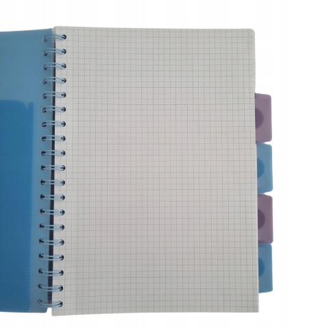 Pamiętnik notatnik notes kołonotatnik z zakładkami 100 k B5 LILO I STITCH