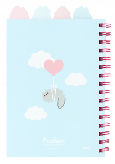 Notatnik pamiętnik kołonotatnik z zakładkami kot Pusheen chmurka słoneczko