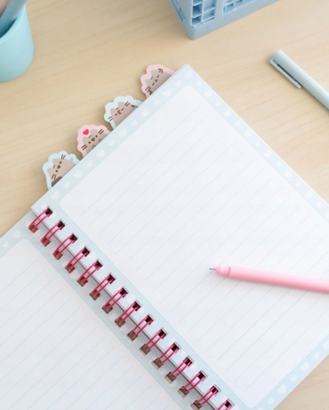 Notatnik pamiętnik kołonotatnik z zakładkami kot Pusheen chmurka słoneczko