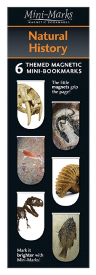 Zakładka magnetyczna zakładki magnetyczne do książki skamieliny 6 szt