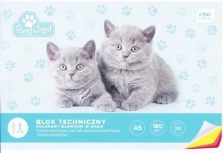 Blok techniczny A5 20 k 180g kolorowy INTERDRUK