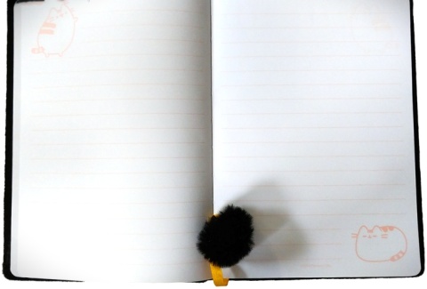 Notatnik pamiętnik pluszowy czarny Gold kot Pusheen z pomponem