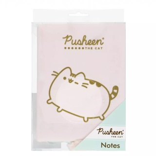 Notatnik pamiętnik pluszowy pastelowy róż kot Pusheen z pomponem