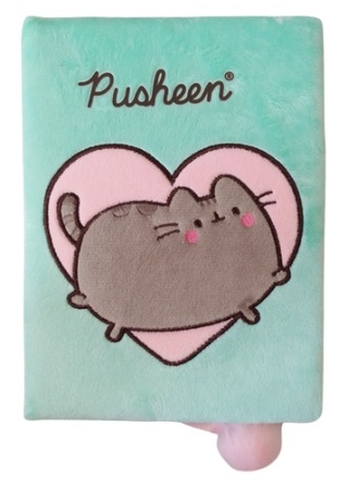 Notatnik pamiętnik pluszowy pastelowy seledyn kot serduszko Pusheen