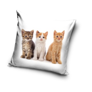 Poszewka na poduszkę jasiek Kotki Kot 40x40 velvet