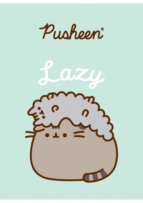 Zeszyt A5 kot PUSHEEN 2 kotki 32 k kratka z marginesem 1 szt