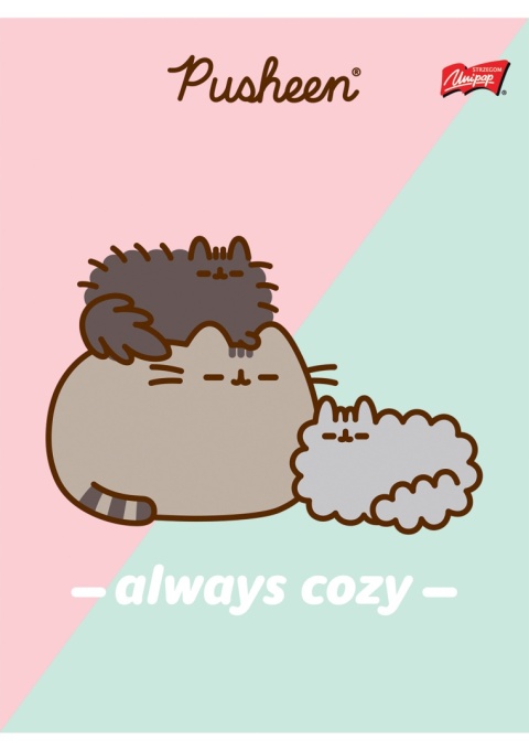 Zeszyt A5 kot PUSHEEN 3 kotki 32 k trzy linia kolorowa 1 szt