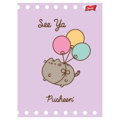 Zeszyt A5 kot PUSHEEN 32 k 3 trzy linia kolorowa kolorowa komplet 4 szt