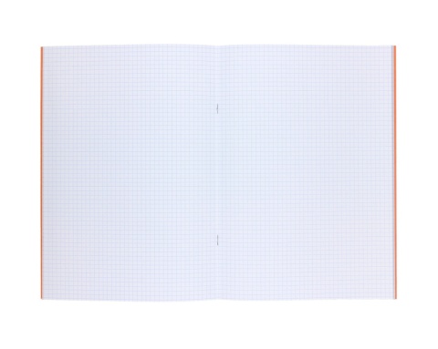 Zeszyt A4 do nauki pisania 32k 90g w kratkę kratka boys BB wilk BEBE be wild Interdruk