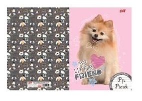 Zeszyt A4 trzy linia kolorowa do nauki pisania 32k pies chow chow kot 2szt