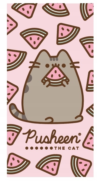Pusheen kot kotek arbuzy Ręcznik kąpielowy plażowy szybkoschnący 70x140