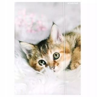 Teczka z gumką A4 na dokumenty rysunki kot kotek kociak Starpak