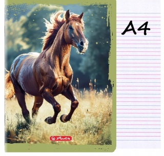 Zeszyt A4 trzylinia kolorowa do nauki pisania 32 kartek koń konik Herlitz