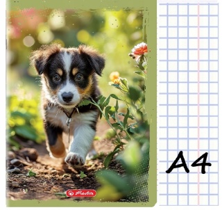 Zeszyt A4 w kratkę 32 kartek pies piesek Herlitz