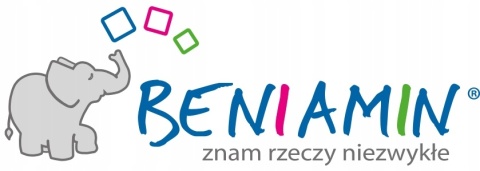 Naklejki nalepki na zeszyty 10 szt AUTA ZYGZAK MCQUEEN