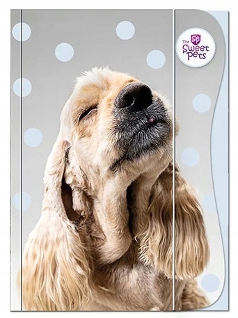 Teczka z gumką A4 na dokumenty rysunki pies piesek szczeniak Benjamin