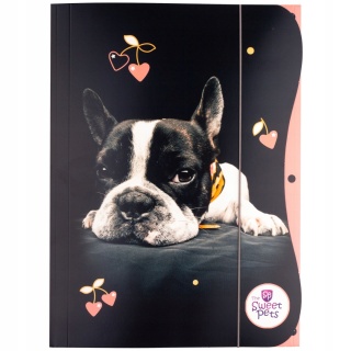 Teczka z gumką A4 na dokumenty rysunki pies piesek szczeniak