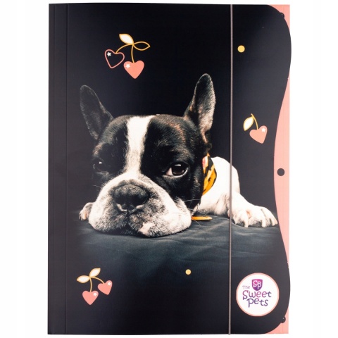 Teczka z gumką A4 na dokumenty rysunki pies piesek szczeniak