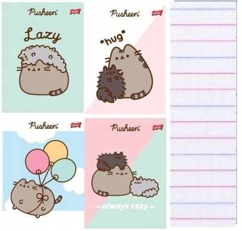 Zeszyt A5 kot PUSHEEN 32 k 3 trzy linia kolorowa dwukolorowa komplet 4 szt