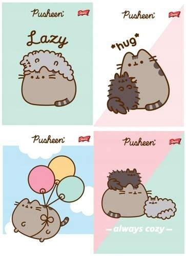 Zeszyt A5 kot PUSHEEN 32 k 3 trzy linia kolorowa dwukolorowa komplet 4 szt