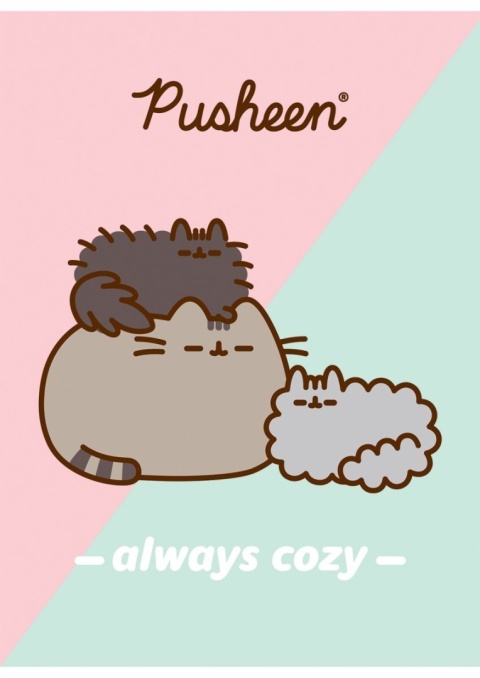 Zeszyt A5 kot PUSHEEN 32 k 3 trzy linia kolorowa dwukolorowa komplet 4 szt
