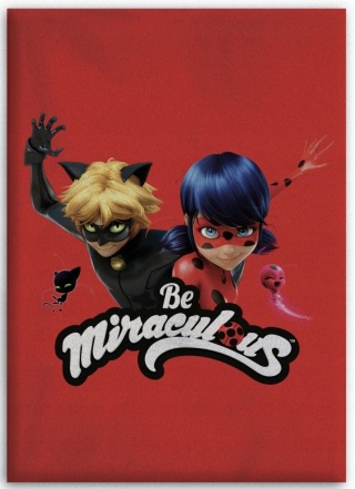 Kocyk koc polarowy BIEDRONKA I CZARNY KOT