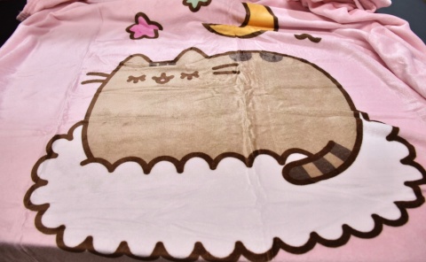 Kocyk koc welur puchaty 130X160 + poduszka kształtka velvet kot PUSHEEN