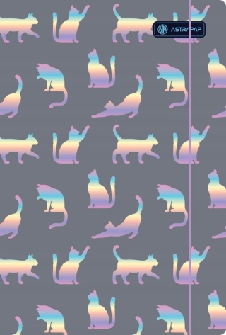 Teczka z gumką A4 na dokumenty rysunki kotki holograficzne