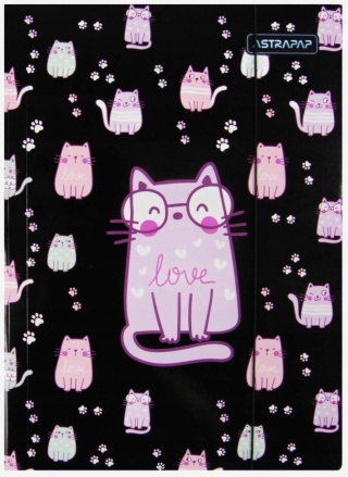 Teczka z gumką A4 na dokumenty rysunki kotki kociaki kot