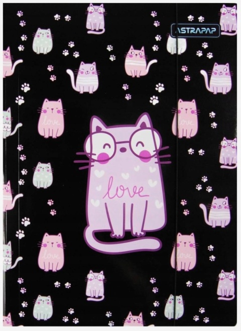 Teczka z gumką A4 na dokumenty rysunki kotki kociaki kot