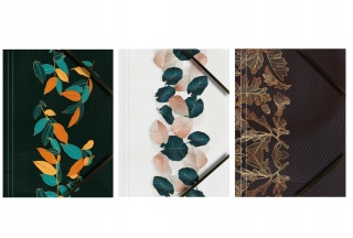 Teczka z gumką narożną A4 na dokumenty liście elegancka zestaw 3 szt